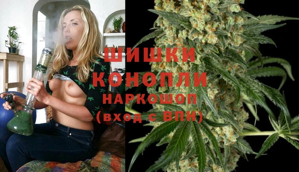 дживик Абинск