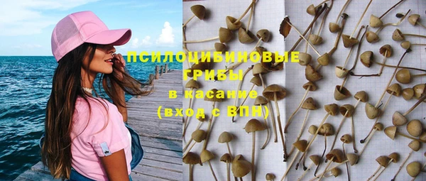 дживик Абинск