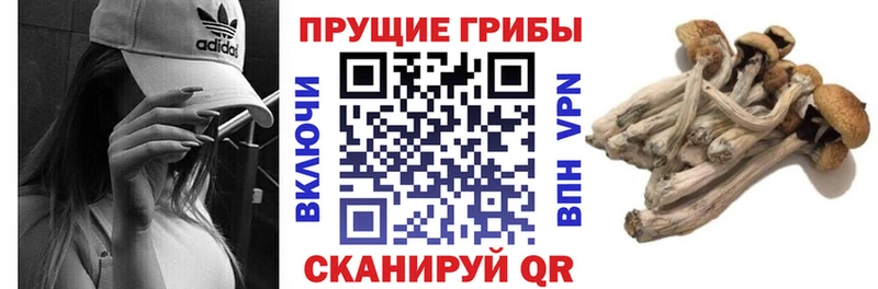 Галлюциногенные грибы Psilocybine cubensis  ОМГ ОМГ маркетплейс  Псков 