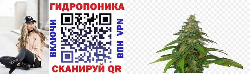 как найти   гидра зеркало  Марихуана гибрид  Псков 